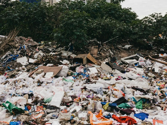 Would You Switch Your Promo Supplier if You Knew They Weren't Eco-Friendly? - Just Tote Bags