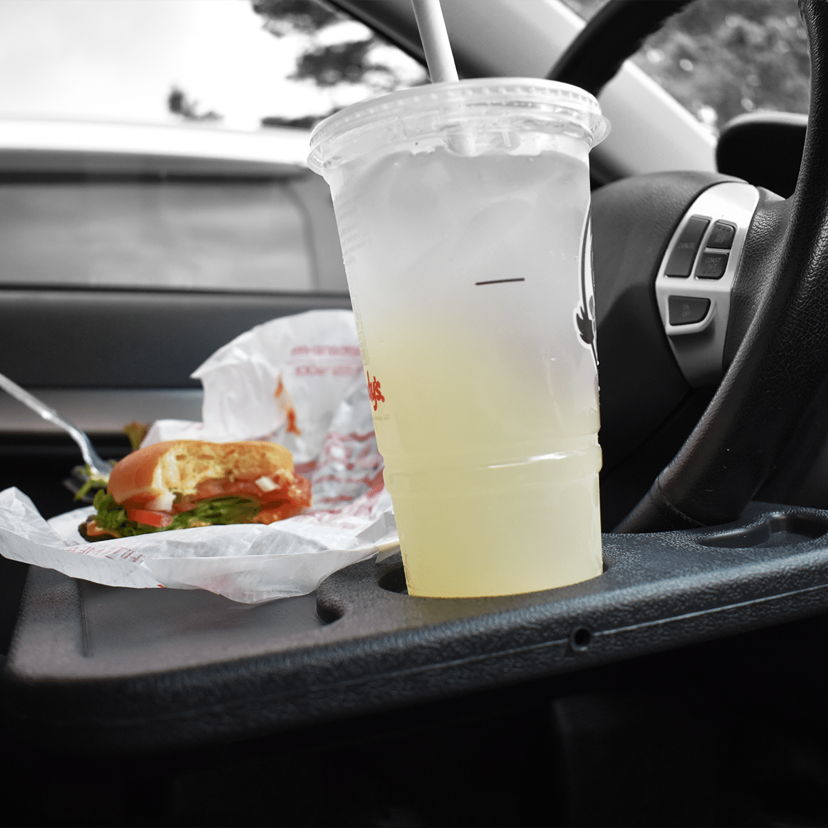 Recycled Plastic Car Tray -B5080 Ecorite
