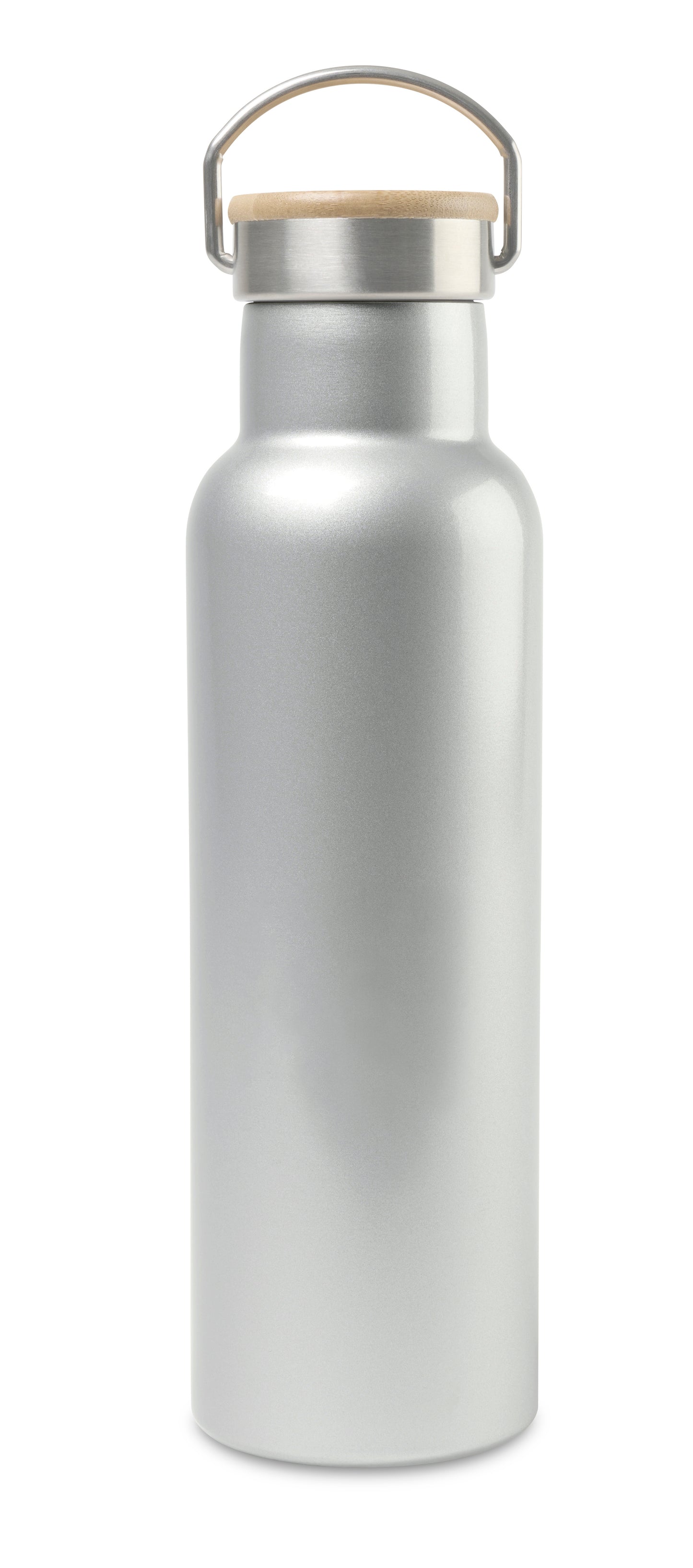 Aviana™ Metallics Double Wall Stainless Steel Bottle - 20 Oz.