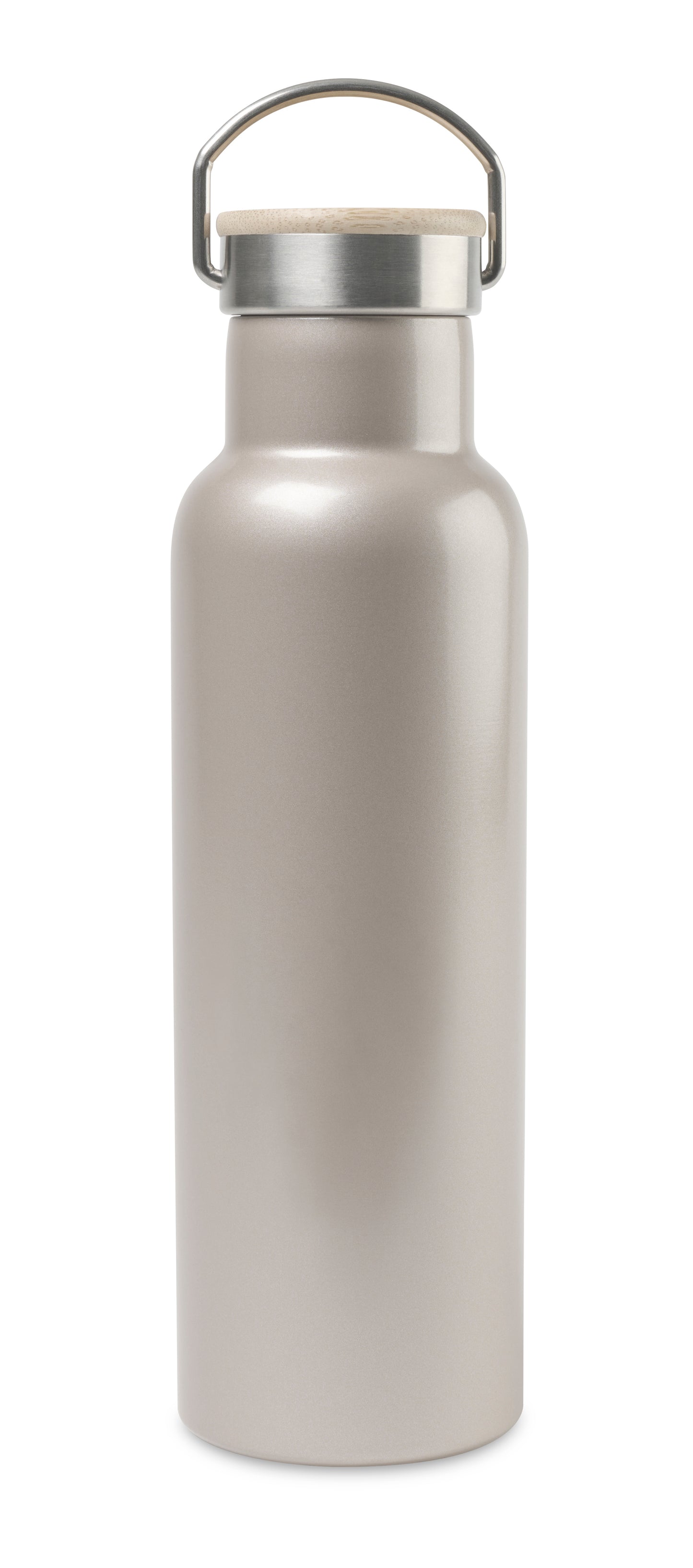 Aviana™ Metallics Double Wall Stainless Steel Bottle - 20 Oz.