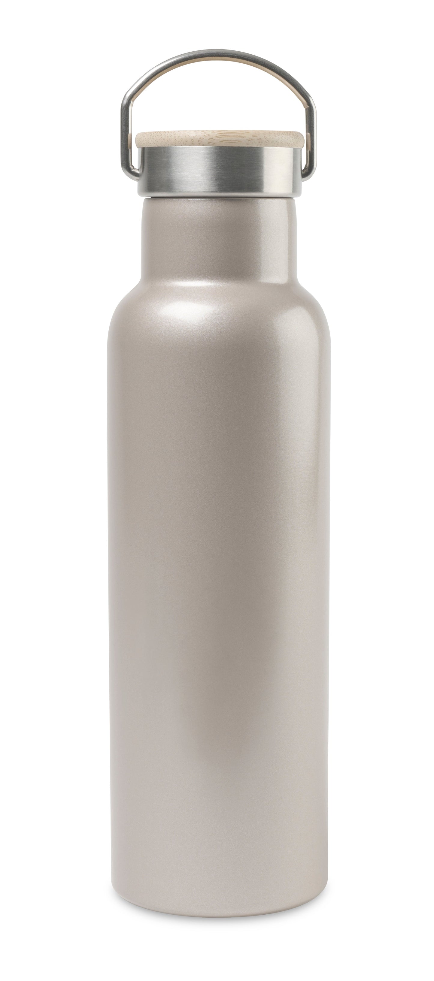 Aviana™ Metallics Double Wall Stainless Steel Bottle - 20 Oz. Aviana