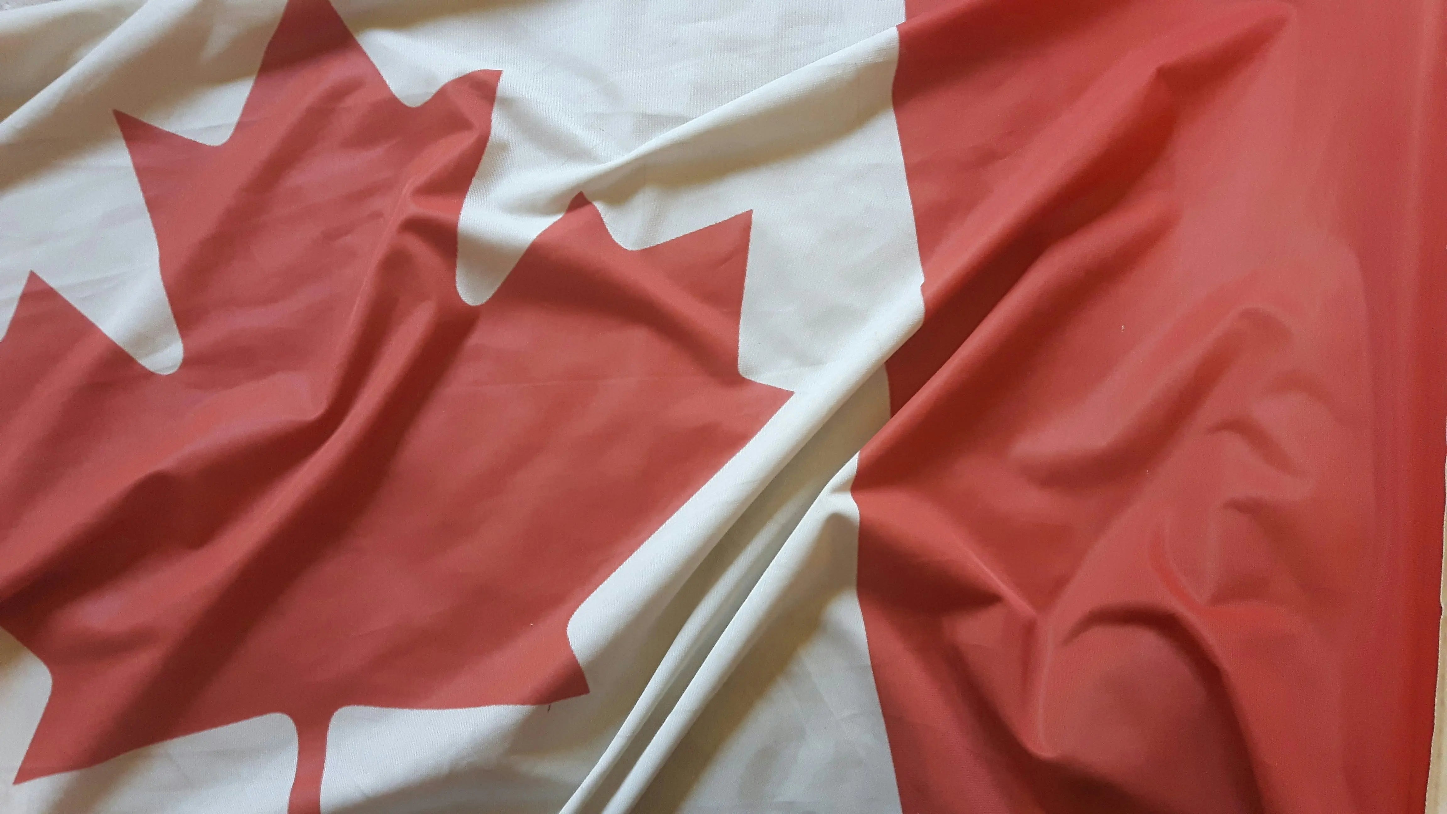 Buy Canadian! A Reflection on Current Events - Just Tote Bags