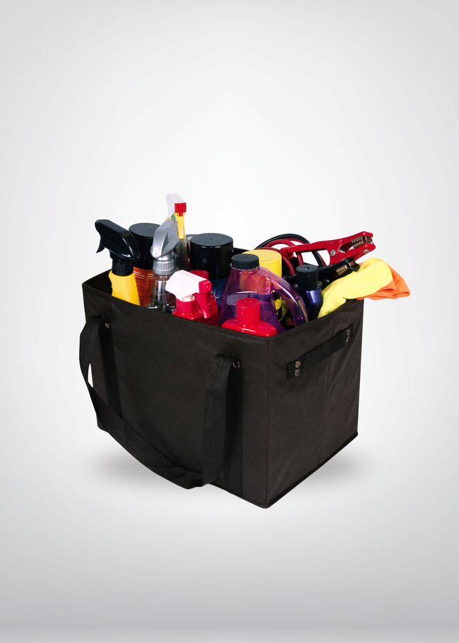 Ecorite Non Woven Foldable Utility Box - B4256