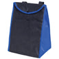 Non Woven Lunch Bag -B4310