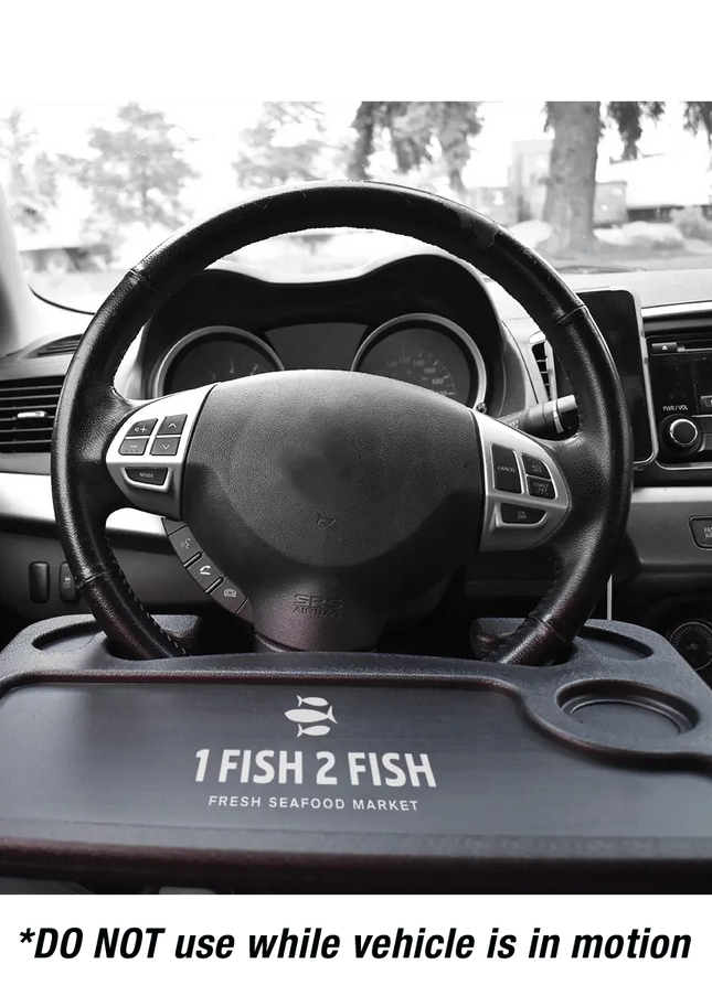 Recycled Plastic Car Tray -B5080 Ecorite