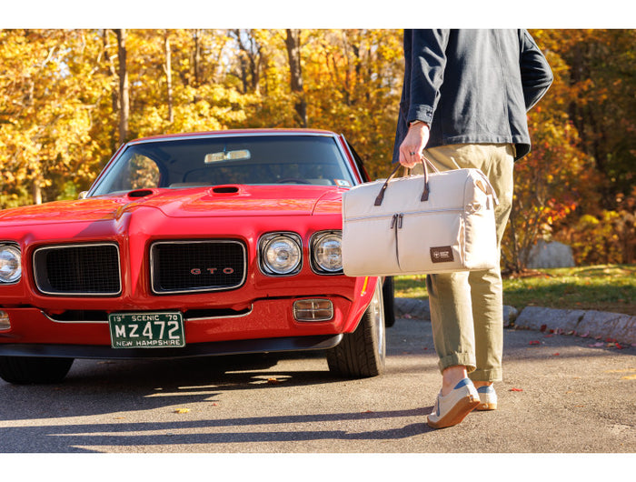 <h1>My Little G(o)TO</h1>