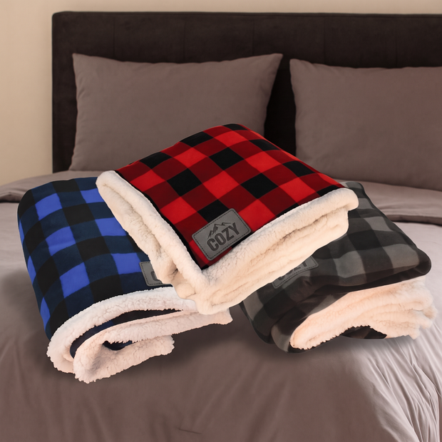 <h1>It's Blanket Season</h1>